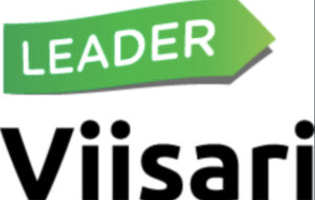 Leader Viisari